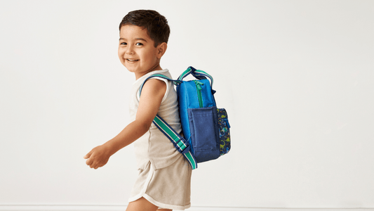 Choosing The Best Backpack For Your Toddler